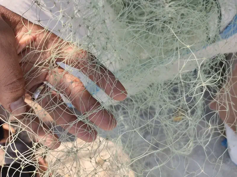 تور قبادی سه ای|ماهیگیری|بندر کنگان, |دیوار