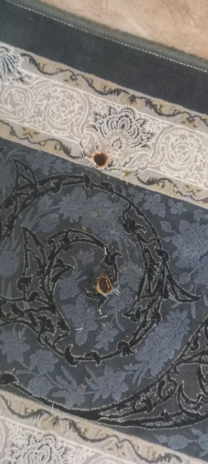 رفع سوختگی  و پارگی فرش|خدمات پیشه و مهارت|سبزوار, توحیدشهر|دیوار