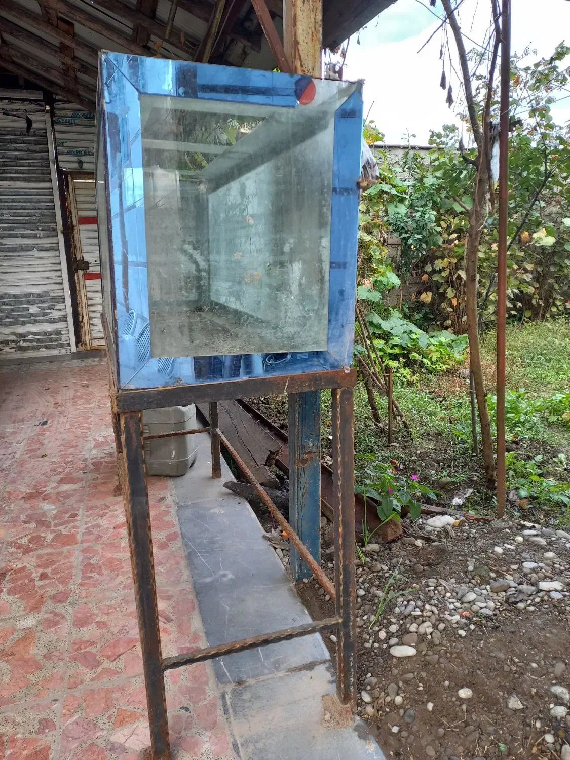 اکواریوم|ماهی|رشت, حومه رشت|دیوار