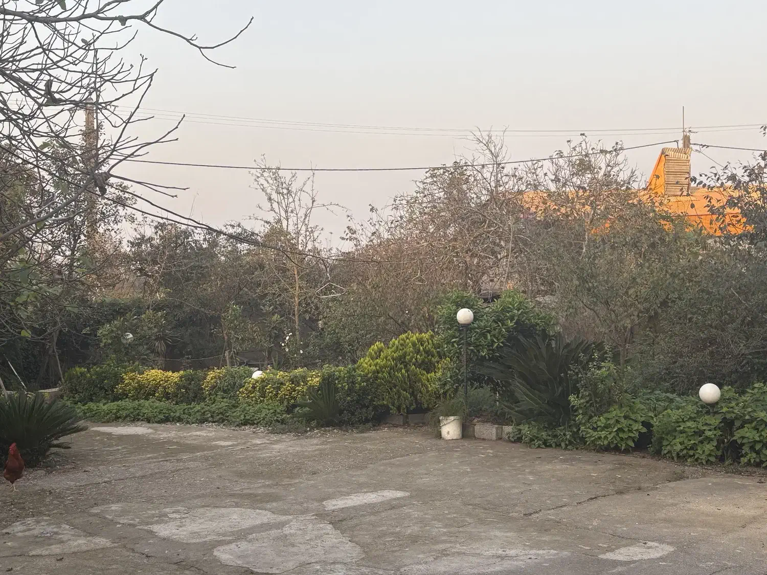 زمین ۱۵۰ متری سند دار|فروش زمین و ملک کلنگی|رشت, لاکان شهر|دیوار