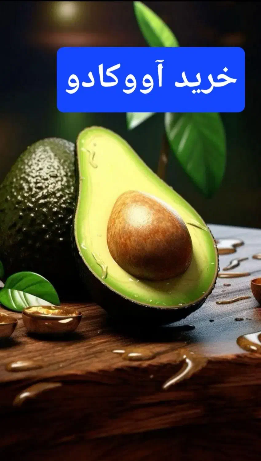 آووکادو آوکادو اوکادو|خدمات باغبانی و درختکاری|قائمشهر, |دیوار