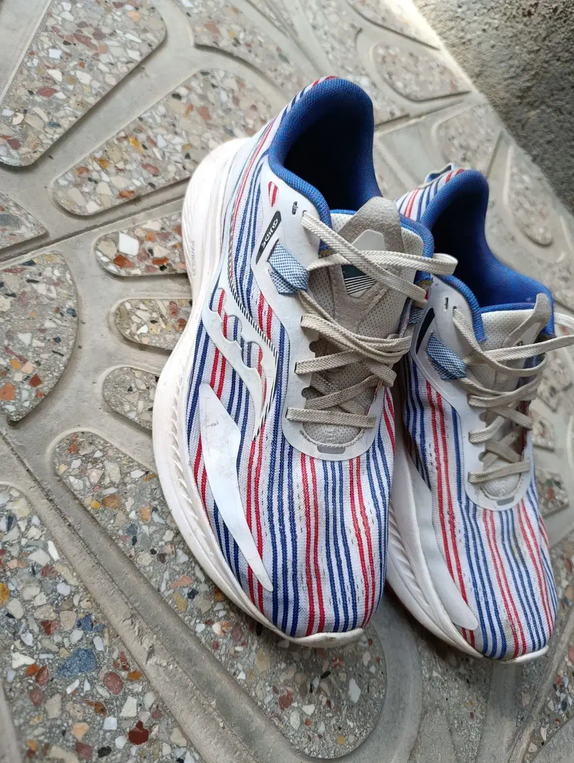 کفش ساکونی اصل|کیف، کفش، کمربند|فریمان, |دیوار