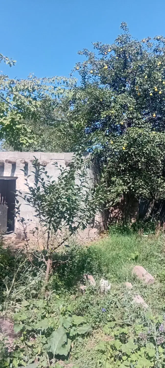 باغ۱۰۰۰متری قدیمی|فروش زمین و ملک کلنگی|فیرورق, |دیوار