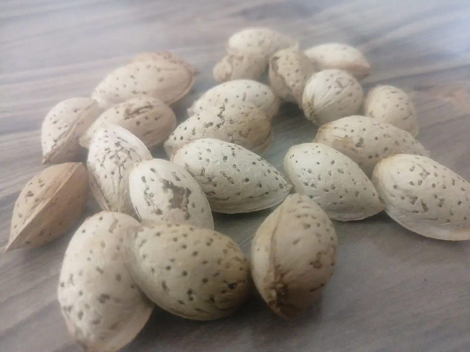 بادام درختی (خوراکی)|خوردنی و آشامیدنی|تهران, آرژانتین|دیوار