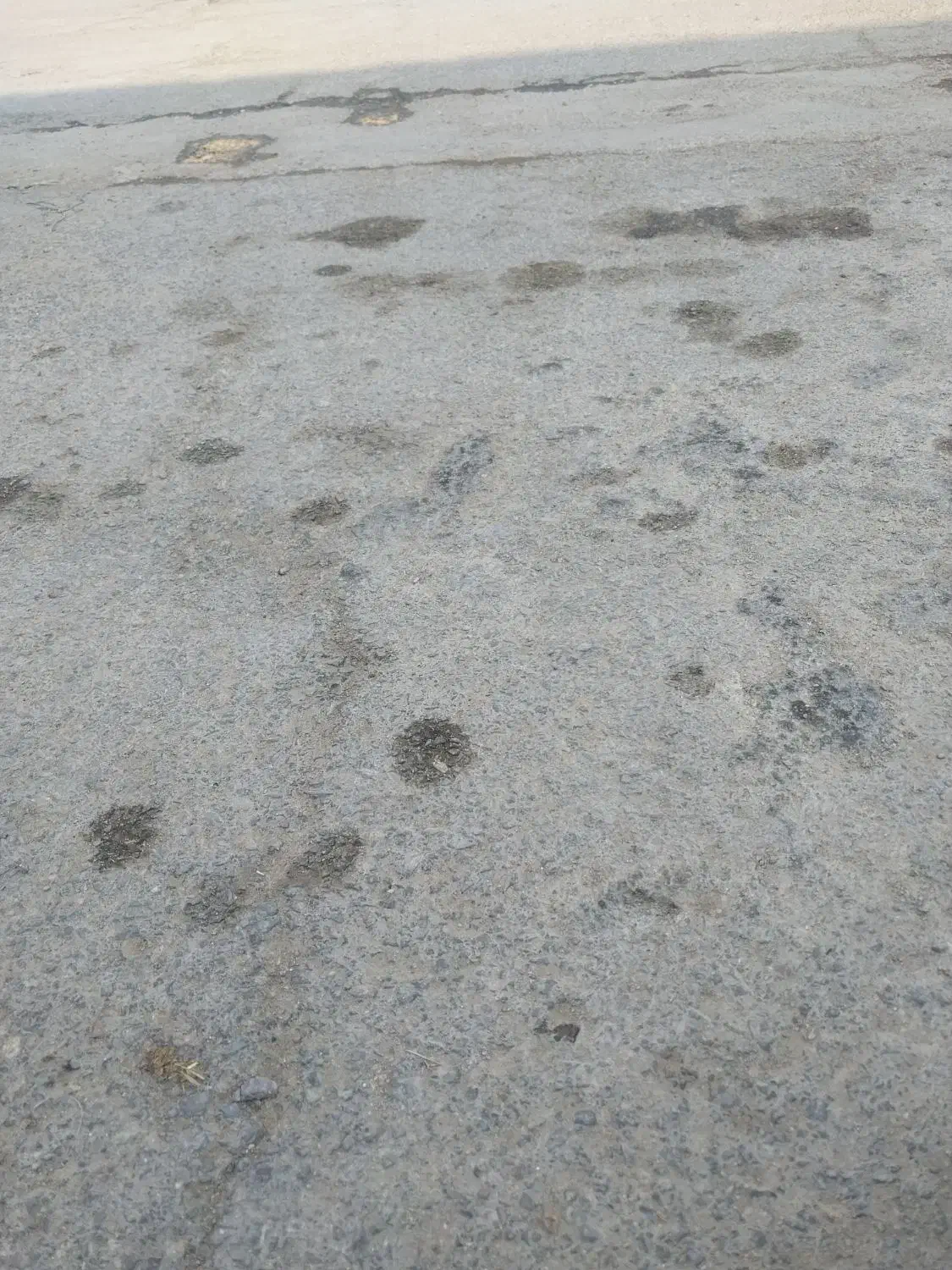 زمین مسکونی مومن اباد|فروش زمین و ملک کلنگی|هفدر, |دیوار