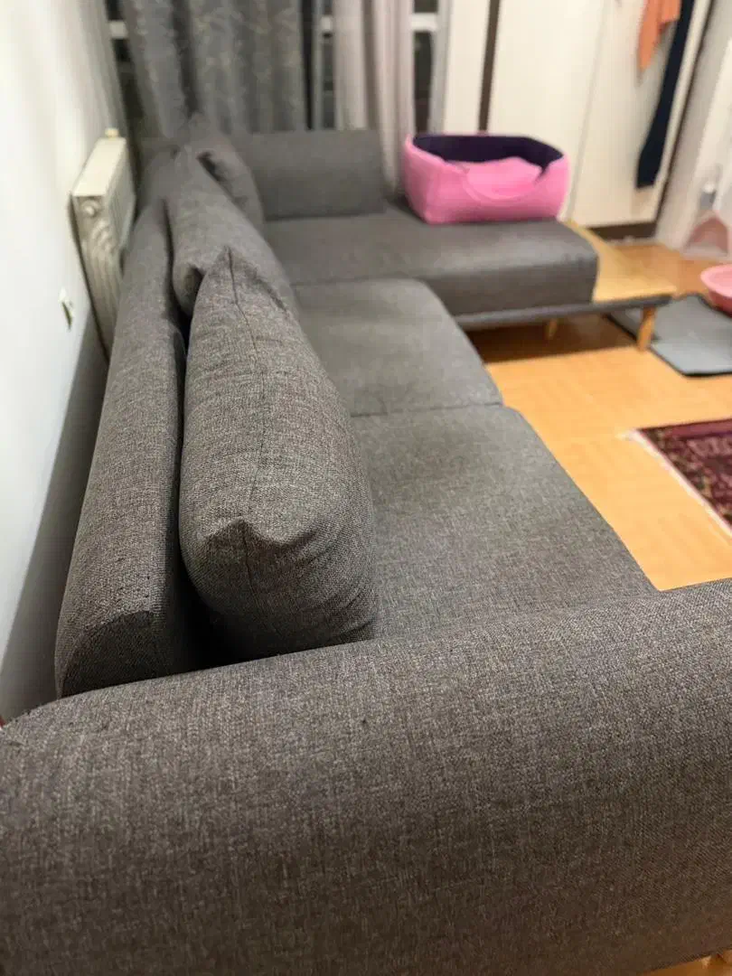 مبل ال|مبلمان خانگی و میز عسلی|گرگان, |دیوار