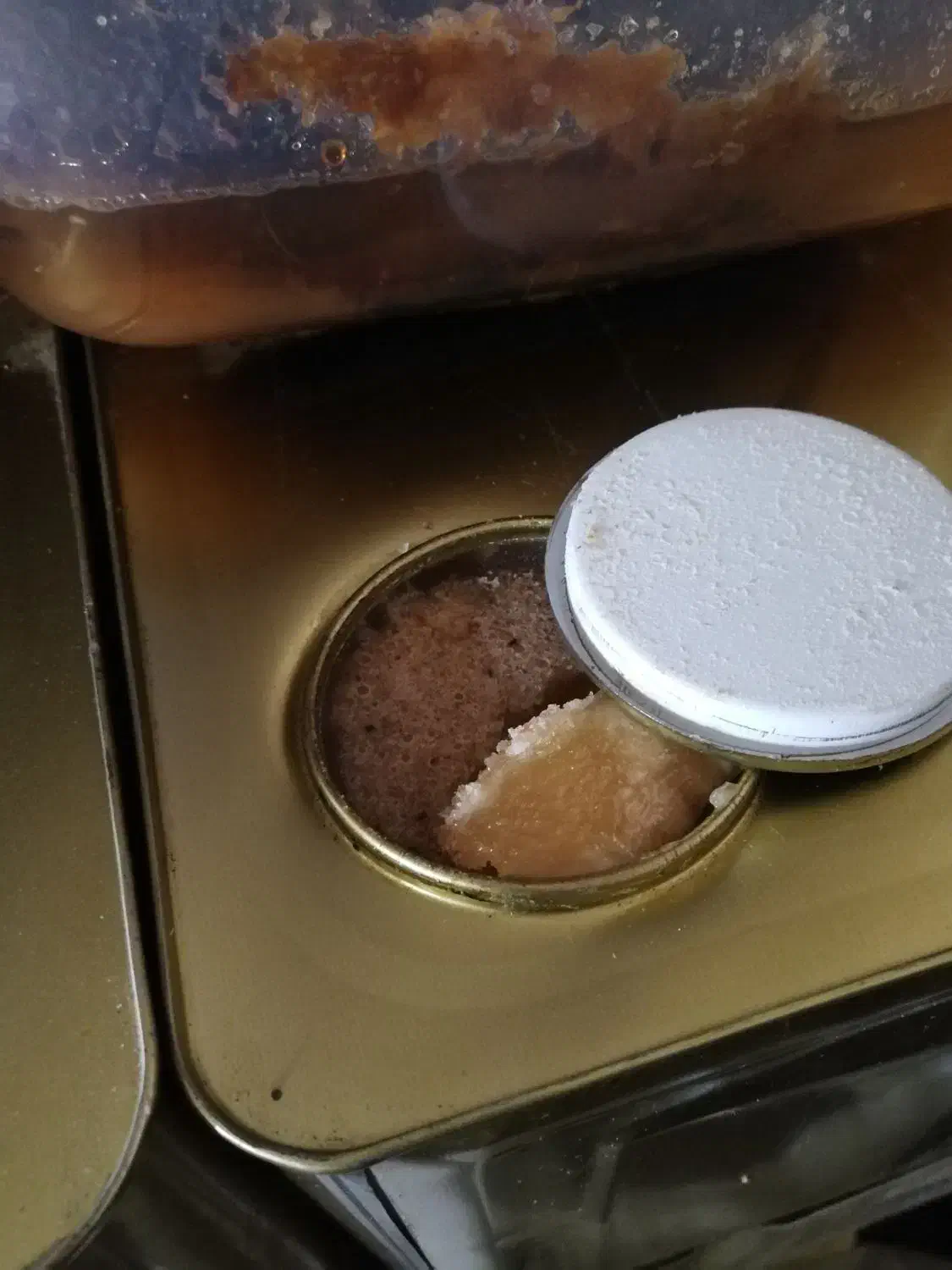 عسل شهد|خوردنی و آشامیدنی|پیرانشهر, |دیوار