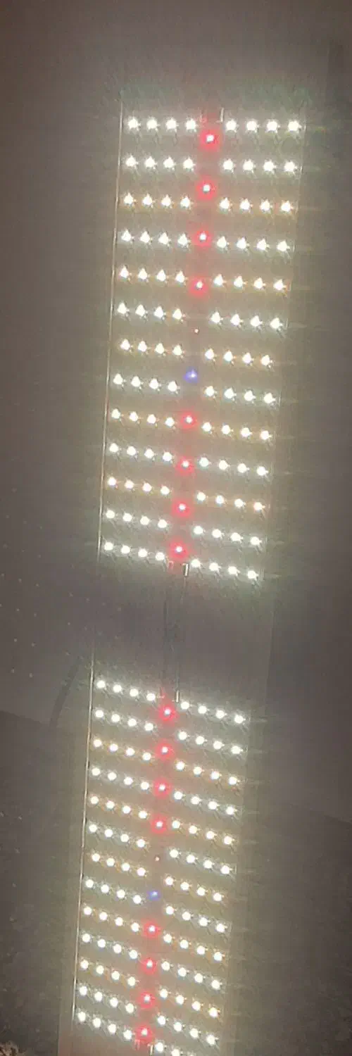 ۳ عدد پنل رشد گیاه ۲۴۰ وات درایور mean well نو|لامپ و چراغ|سمنان, |دیوار