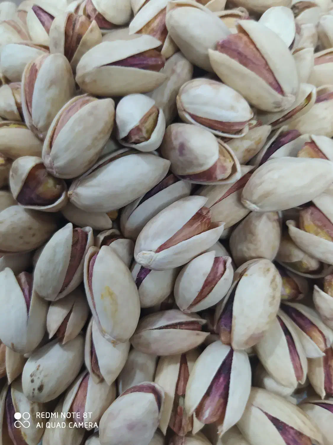 پسته خشک|خوردنی و آشامیدنی|مه ولات, |دیوار