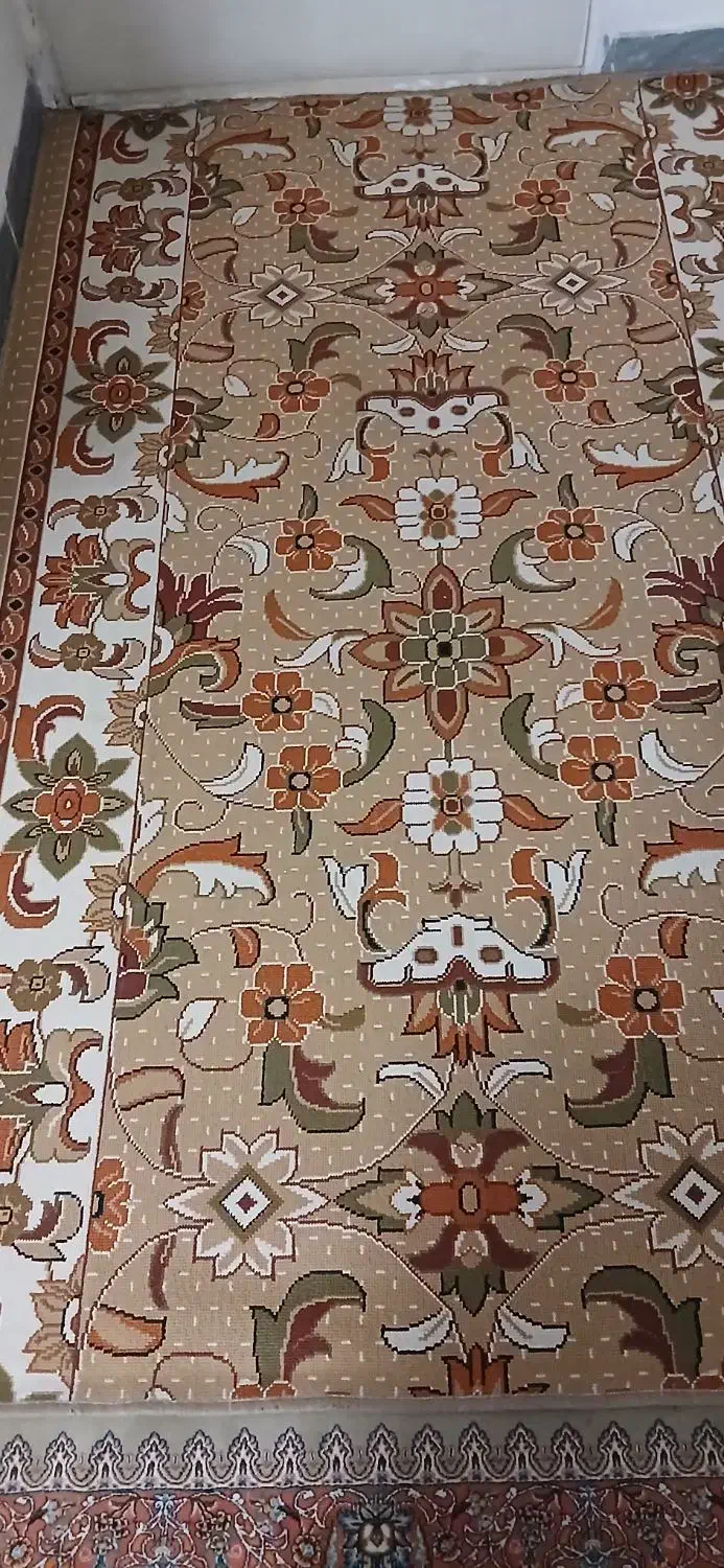 تعدادی وسایل منزل|گلیم، جاجیم، گبه|نهاوند, |دیوار