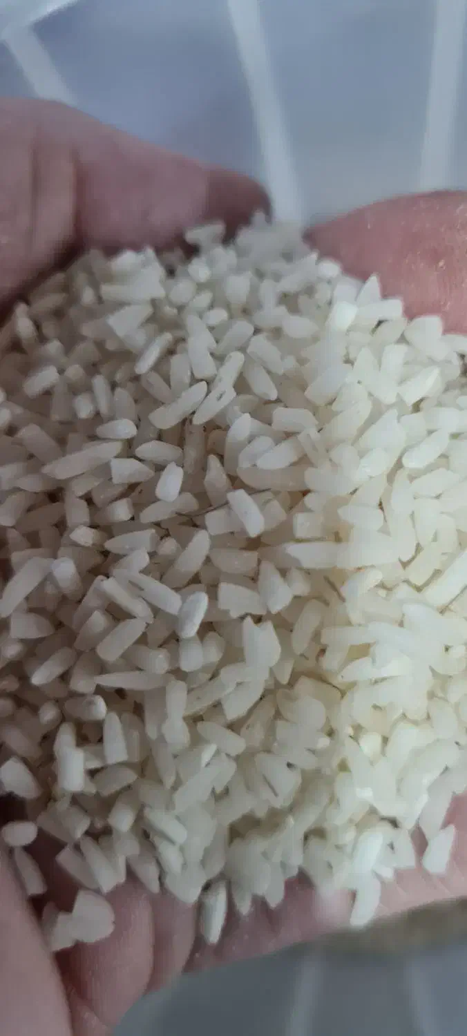 برنج هاشمی|خوردنی و آشامیدنی|تهران, شهران جنوبی|دیوار