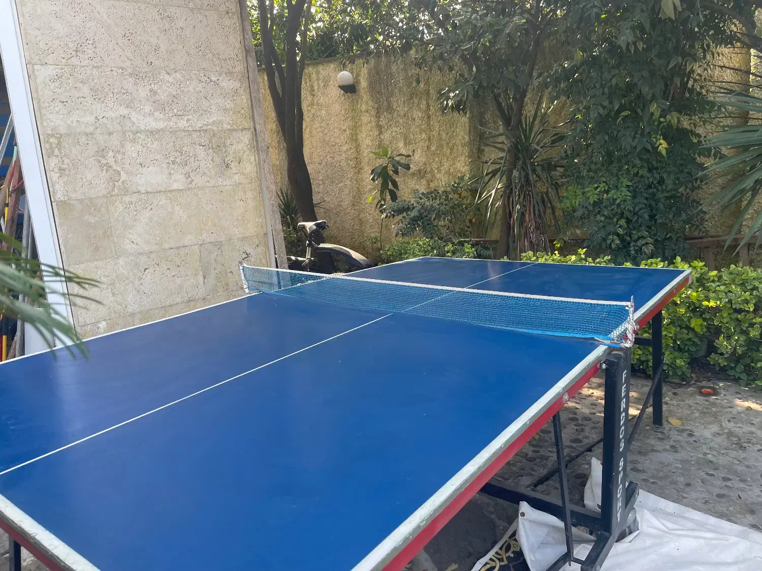 میز تنیس روی میز|ورزشهای توپی|چالوس, |دیوار