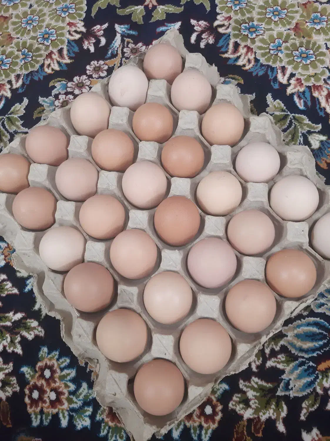 تخم مرغ محلی|خوردنی و آشامیدنی|قم, شاه ابراهیم|دیوار