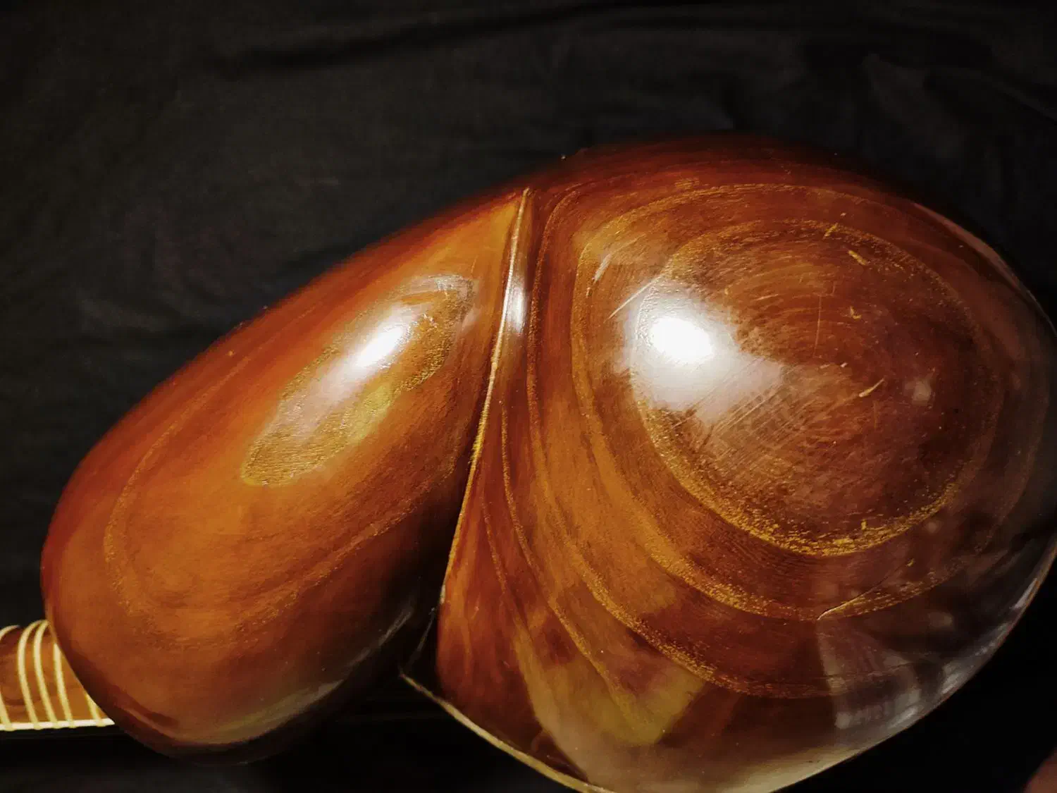 تار حرفه ای رشیدی ملایری|سازهای سنتی|تهران, قبا|دیوار