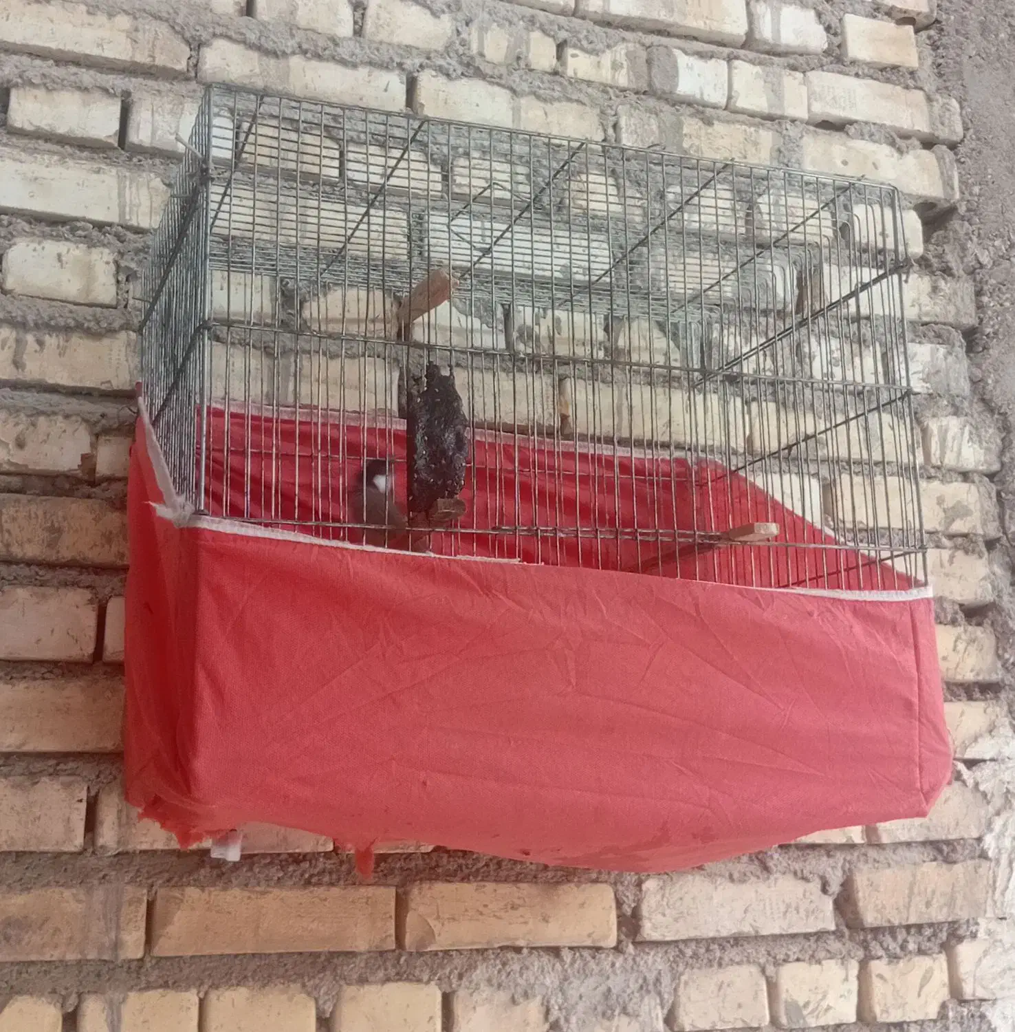 قفس|اسباب‌بازی بچه|خرمشهر, |دیوار