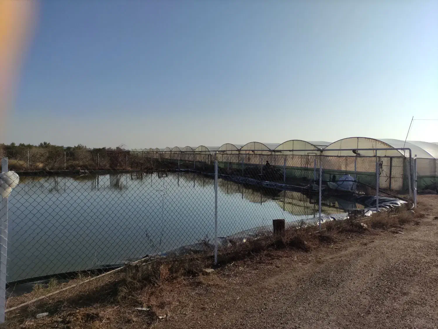 فروش گلخانه و باغ بزرگ|فروش دفتر صنعتی، کشاورزی، تجاری|گرمسار, |دیوار