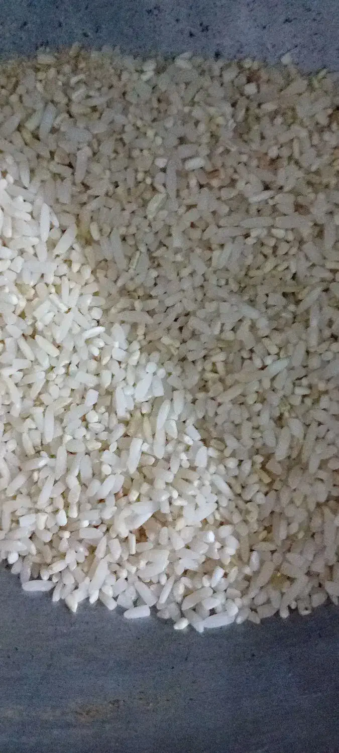 لاشه برنج طارم هاشمی|خوردنی و آشامیدنی|ساری, |دیوار