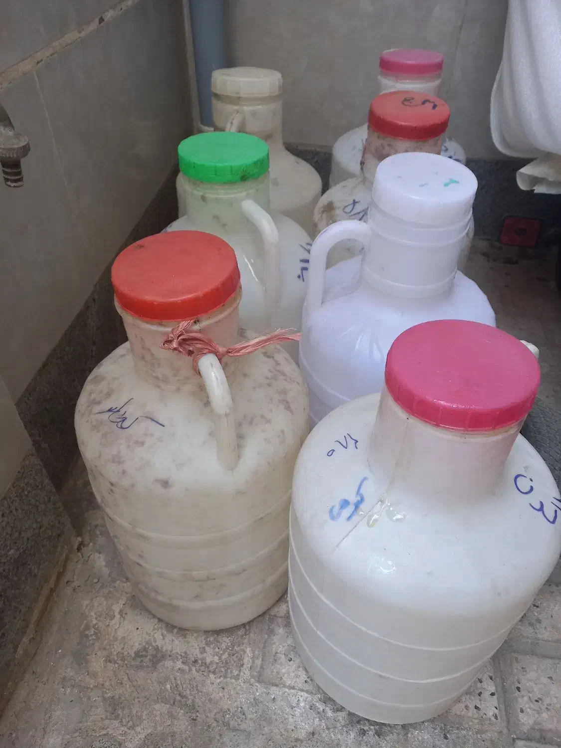 دبه عسل|خوردنی و آشامیدنی|مشهد, انقلاب|دیوار