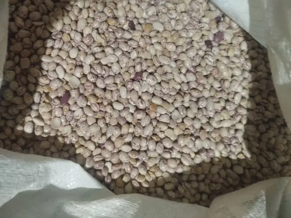 لوبیاچیتی درجه۱عالی|خوردنی و آشامیدنی|شیراز, عادل آباد|دیوار