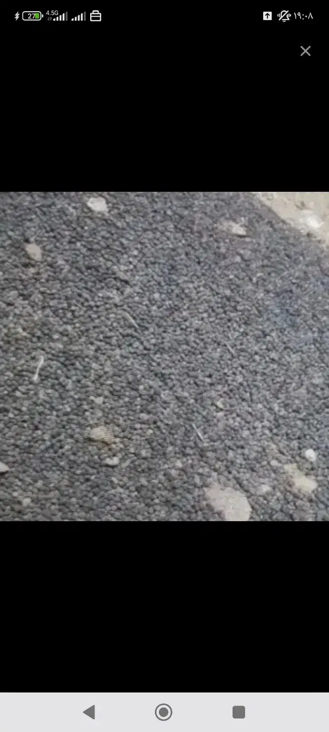 کود حیوانی|خدمات باغبانی و درختکاری|کوهدشت, |دیوار