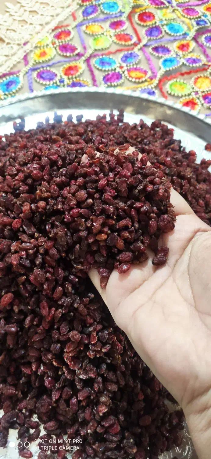 زرشک|خوردنی و آشامیدنی|شیراز, سلطان آباد|دیوار