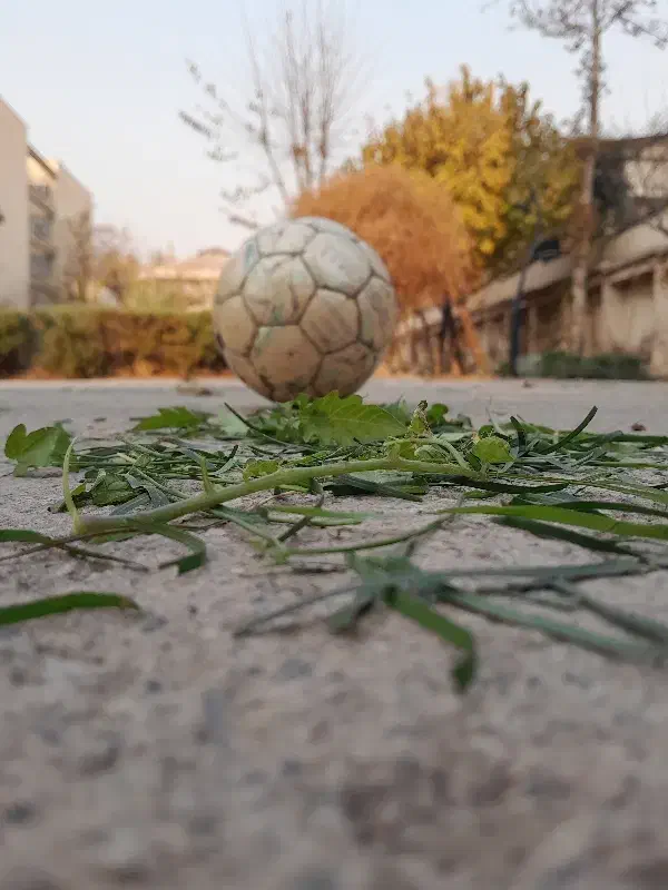 توپ|ورزش‌های توپی|تهران, اقدسیه|دیوار