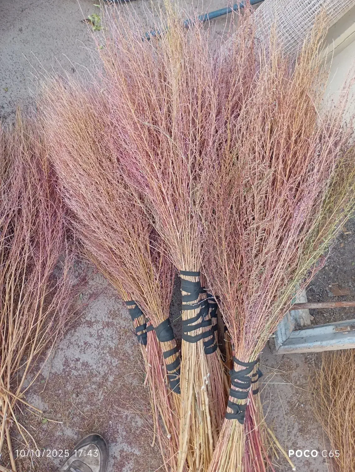 جارو|لوازم نظافت|مرند, |دیوار