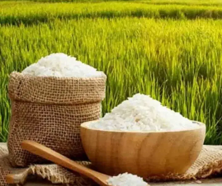 برنج ایرانی(شمال)|خوردنی و آشامیدنی|تبریز, |دیوار