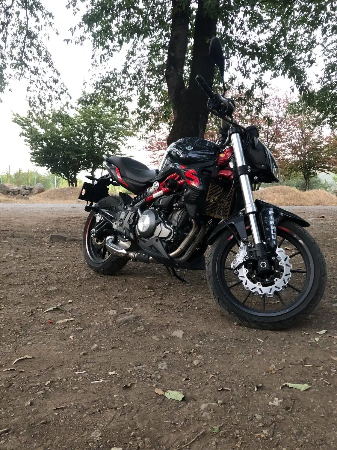 بنلی 300|موتورسیکلت|گنبد کاووس, |دیوار