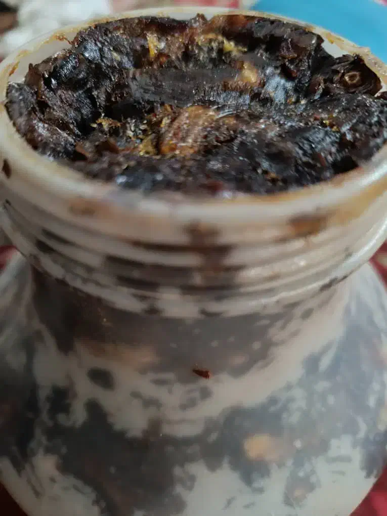 خرمای مضافتی|حراج|چابهار, |دیوار