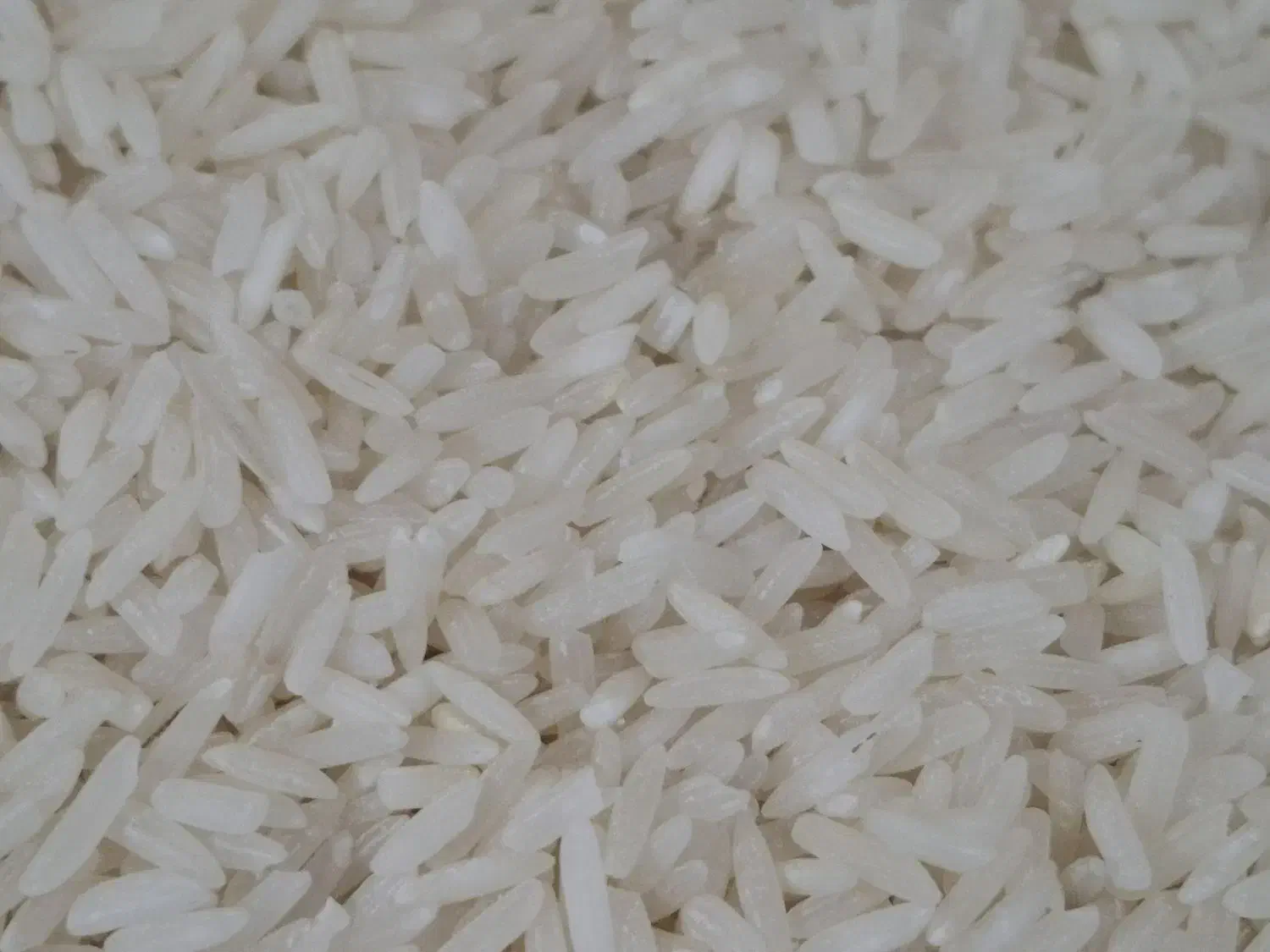 برنج دانه بلند|خوردنی و آشامیدنی|ایذه, |دیوار