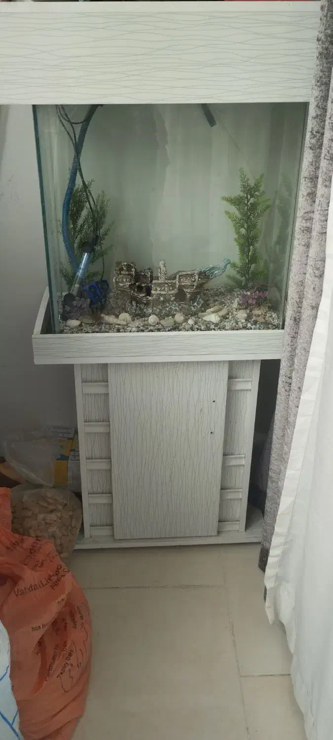 اکواریوم کاملا نو|کلکسیون و سرگرمی|شاهدشهر, |دیوار