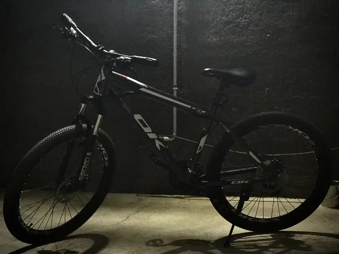 دوچرخه|دوچرخه، اسکیت، اسکوتر|ملکان, |دیوار