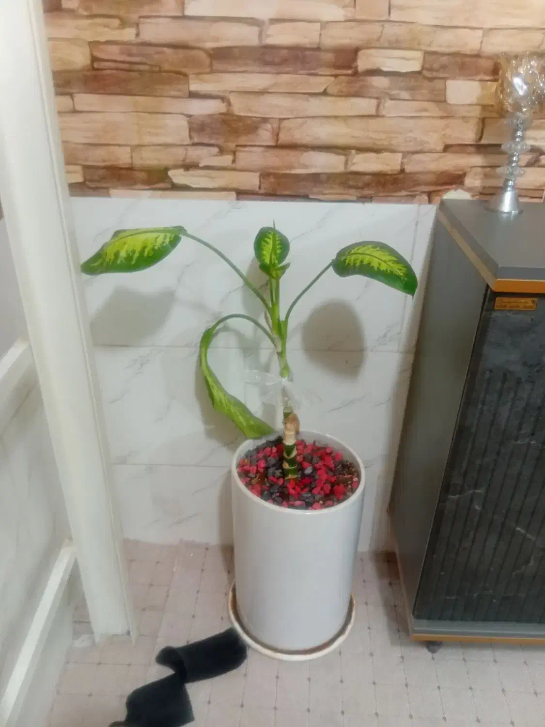 فرش.گاز.جاکفشی .گلدان|حراج|شیراز, شهرک ایثار|دیوار