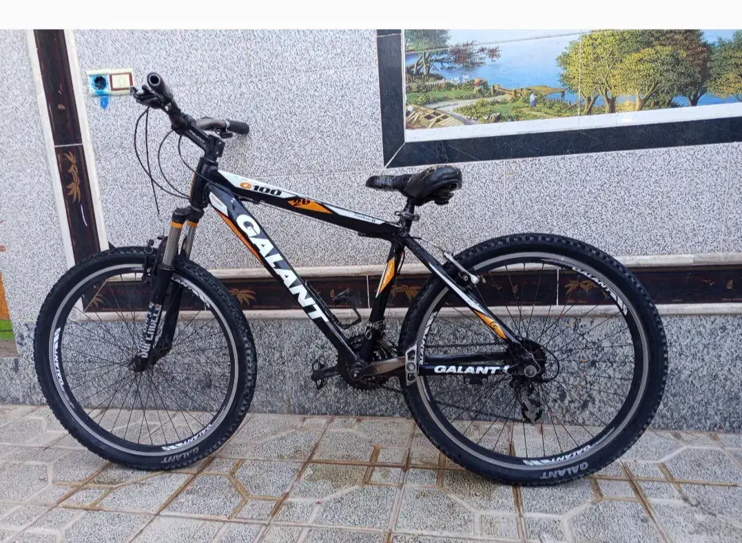 دوچرخه بیست و شش|دوچرخه، اسکیت، اسکوتر|سربیشه, |دیوار