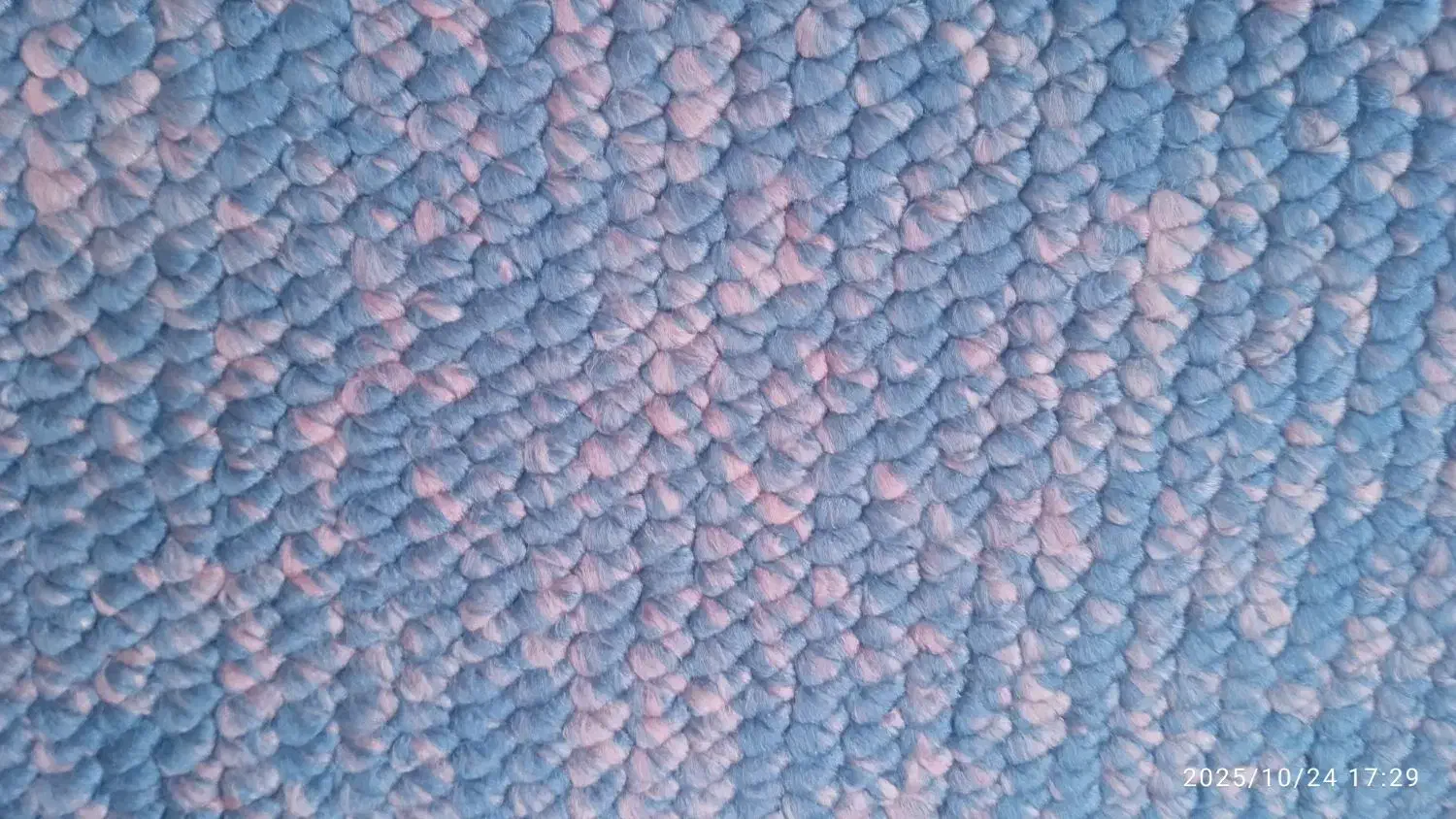 پالاز موکت|موکت|سقز, |دیوار