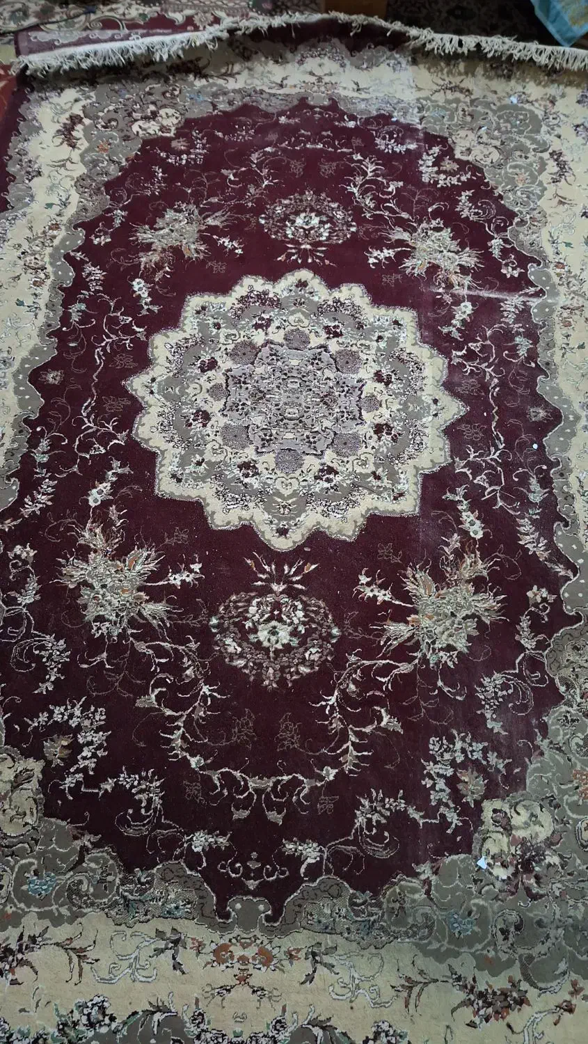 قالی ۶ متری|فرش|آبادان, |دیوار