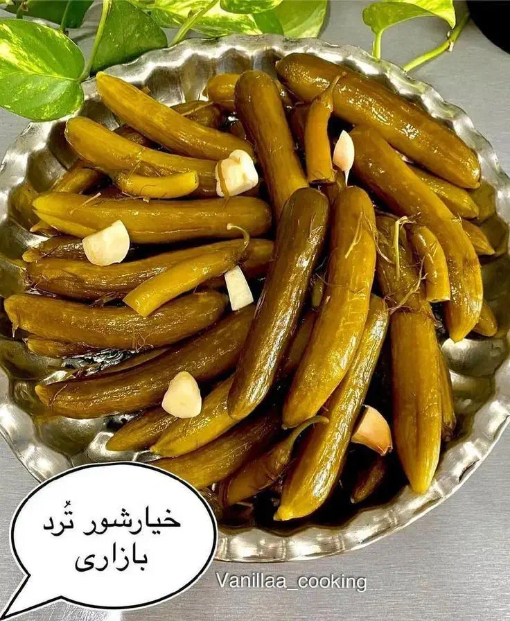 خیارشور تازه امسال|خوردنی و آشامیدنی|گیان, |دیوار