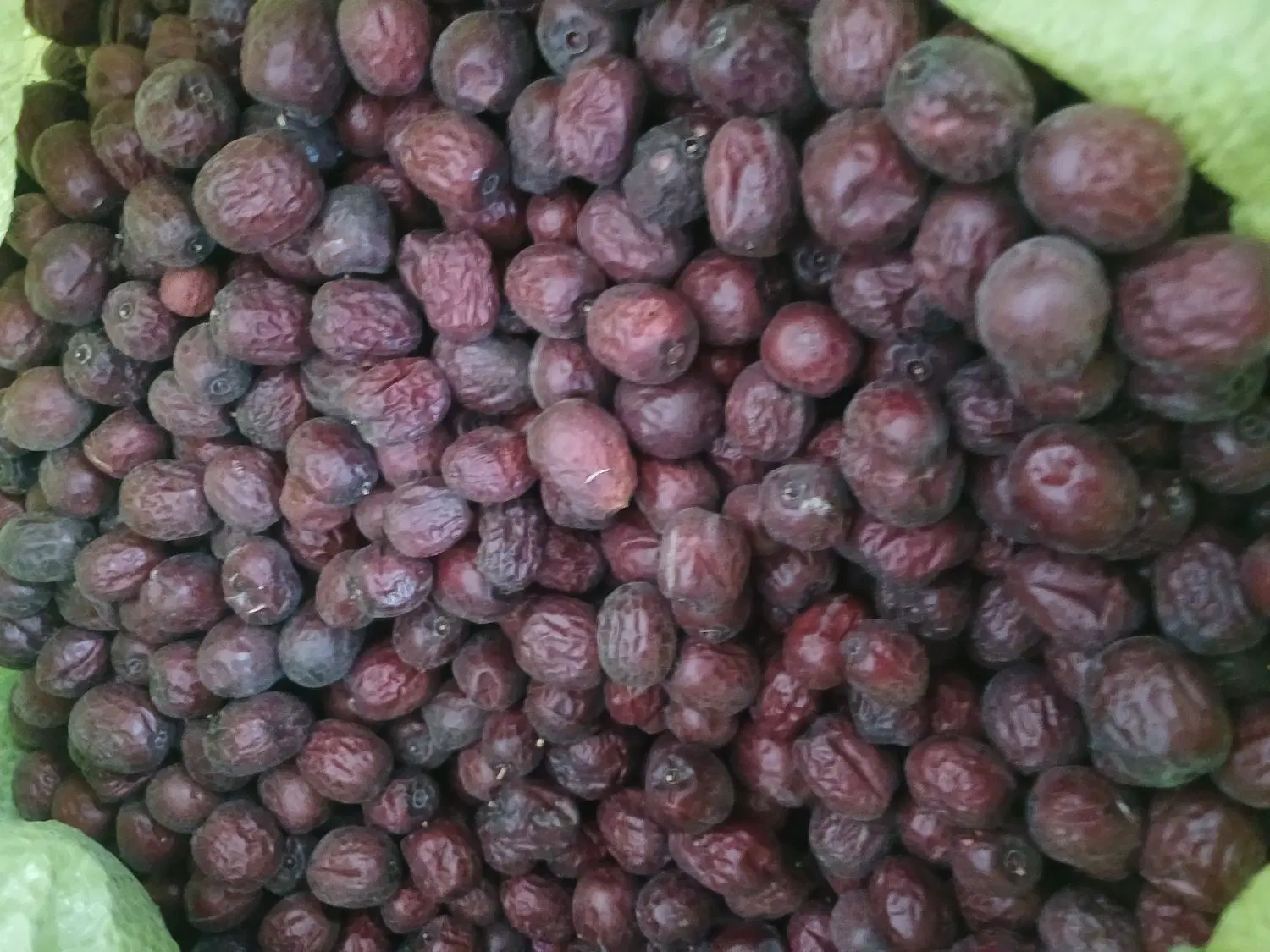 عناب|خوردنی و آشامیدنی|بیرجند, |دیوار