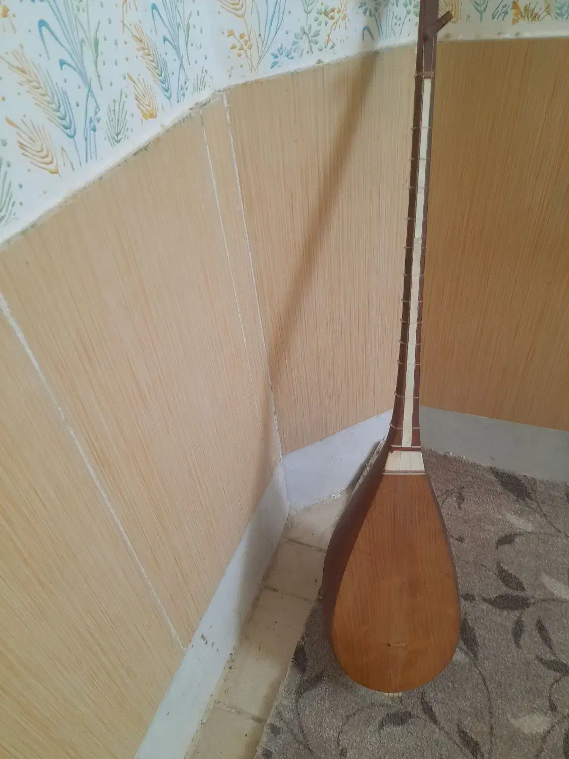 دوتار|سازهای سنتی|اسفراین, |دیوار