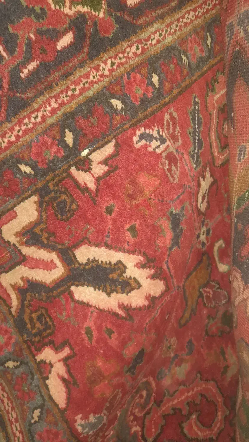 فرش دست بافت|فرش|بناب, |دیوار