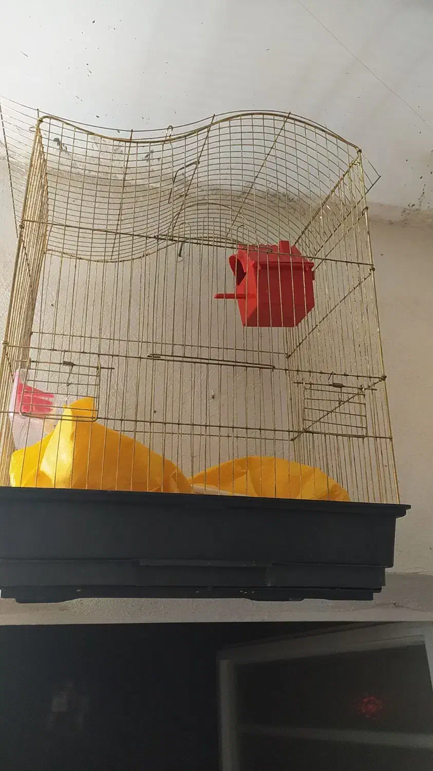 قفس نو|لوازم جانبی حیوانات|قم, شاه سید علی|دیوار