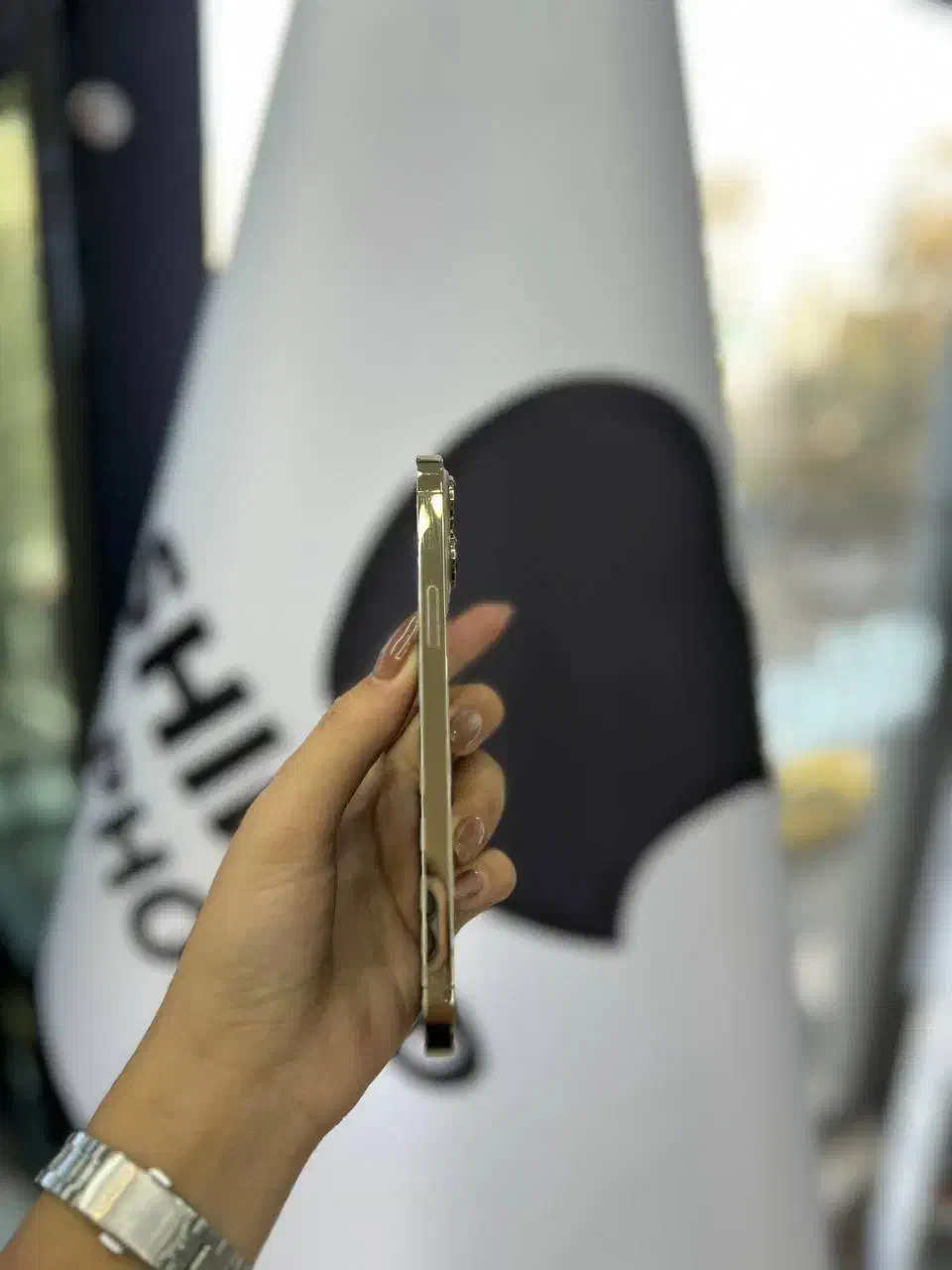 آیفون ۱۳ پرومکس طلایی/256|موبایل|زنجان, |دیوار