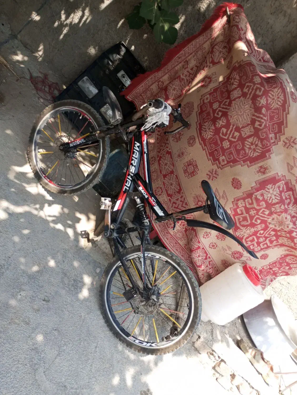 دوچرخه 24|دوچرخه، اسکیت، اسکوتر|دینور, |دیوار