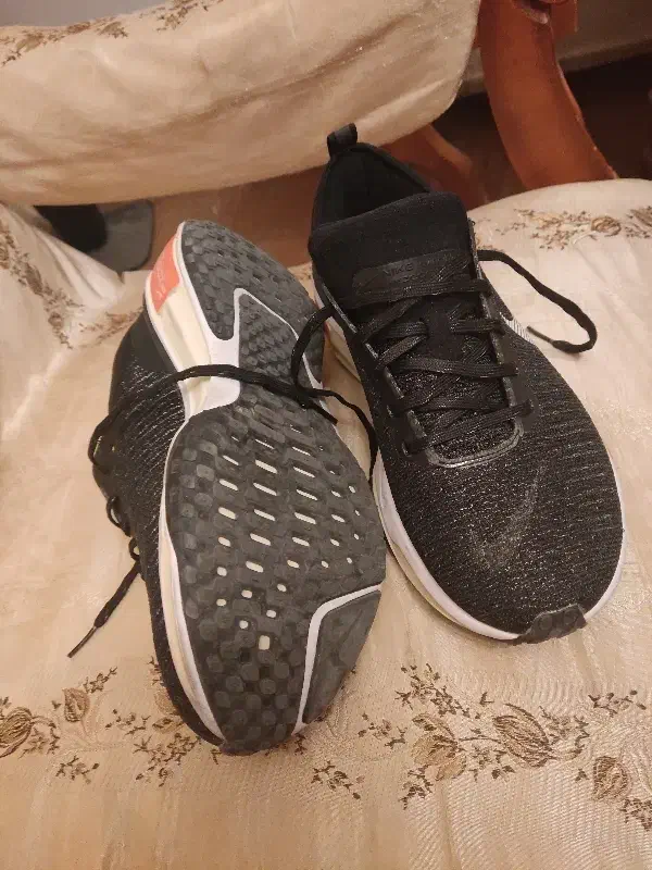 کتانی|کیف، کفش، کمربند|کرج, برغان|دیوار