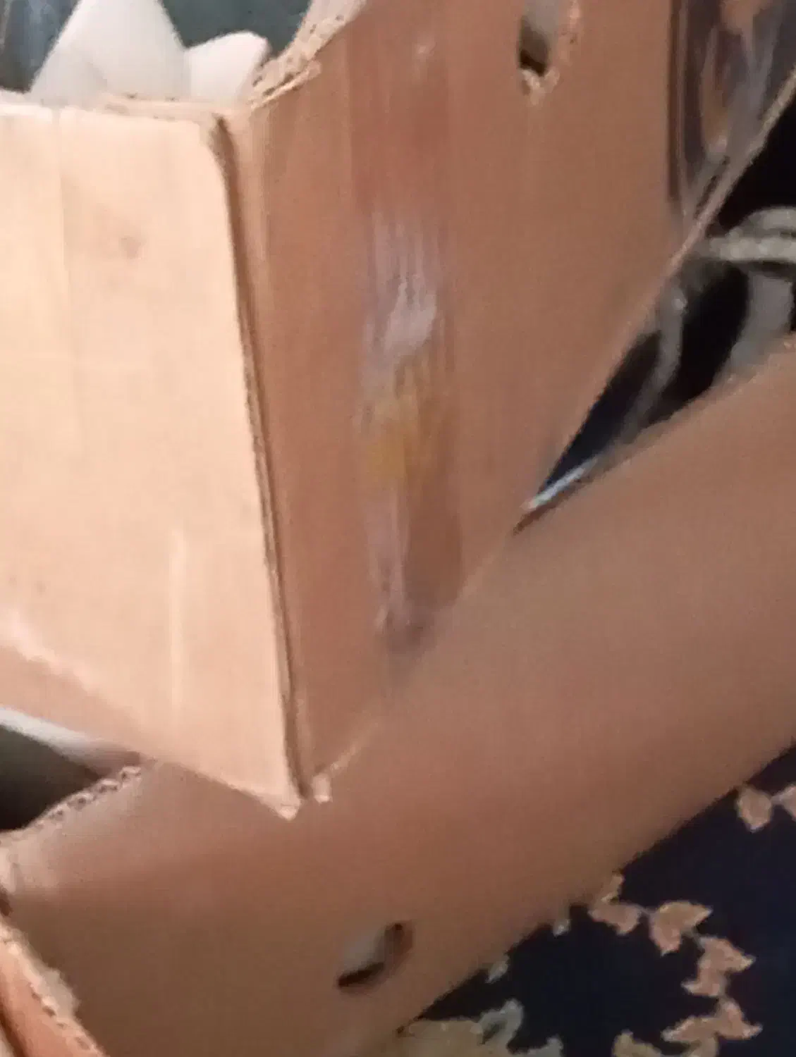 خرید و فروش کارتن نو و کار کرده  قرچک ورامین|عمده‌فروشی|پاکدشت, پاکدشت (مامازند)|دیوار