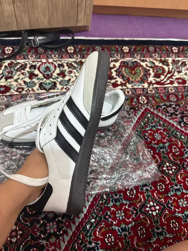 کتونی سامبا های کپی سایز ۴۲ الی ۴۳|کیف، کفش، کمربند|کرج, شهرک شهرداری|دیوار