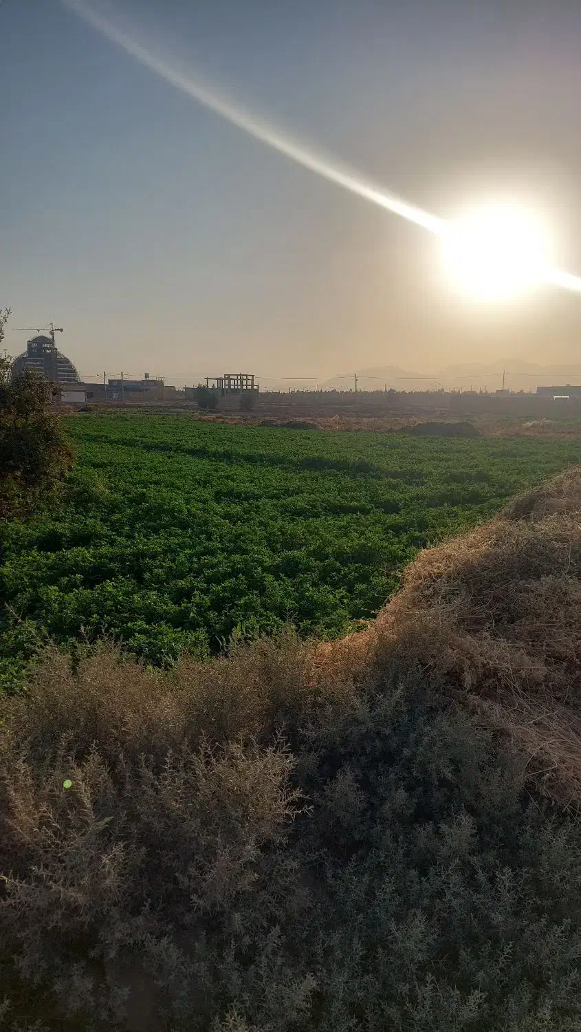 زمین ۱۰۰۰ متر واقع در شهر میبد|فروش زمین و ملک کلنگی|میبد, |دیوار