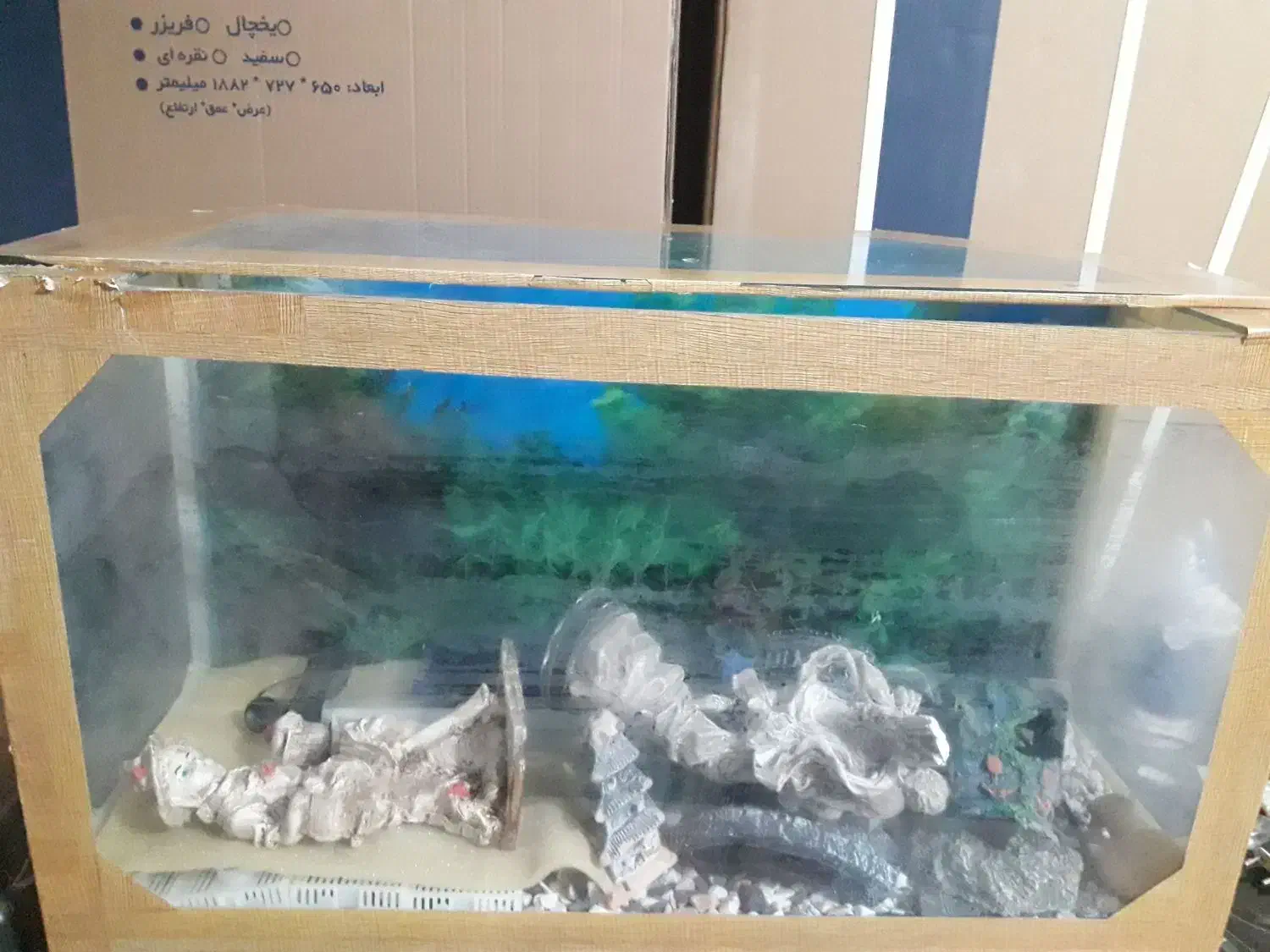 آکواریوم|ماهی|خرم‌آباد, |دیوار