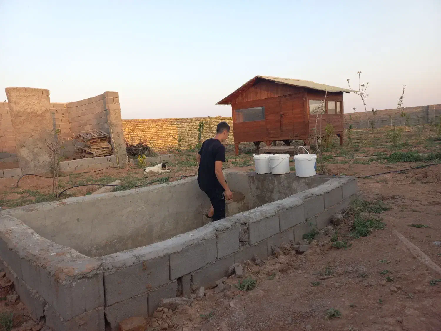 کلبه چوبی ۹ متری|عمده‌فروشی|اسفرورین, |دیوار